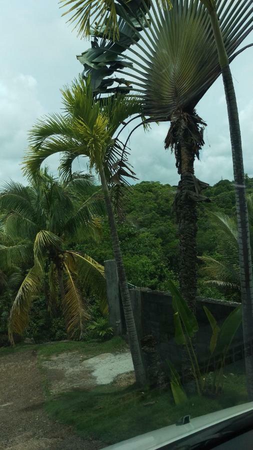 Residence Cattanies Sainte-Anne  Luaran gambar